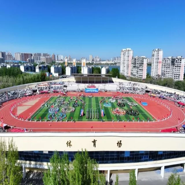 足球杯赛焦点对决：阵容解读第278组深度分析